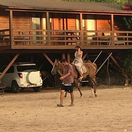 Equestrian And Beach Club Bodrum Exteriér fotografie